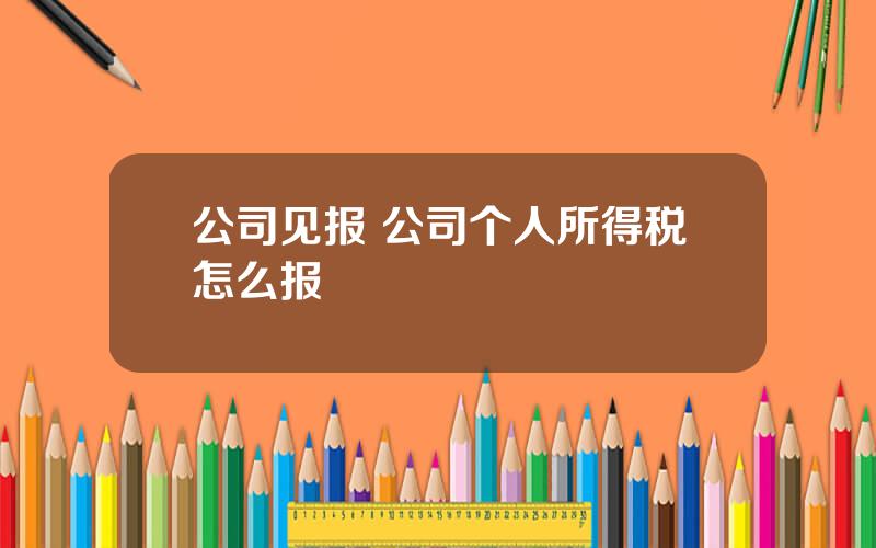 公司见报 公司个人所得税怎么报
